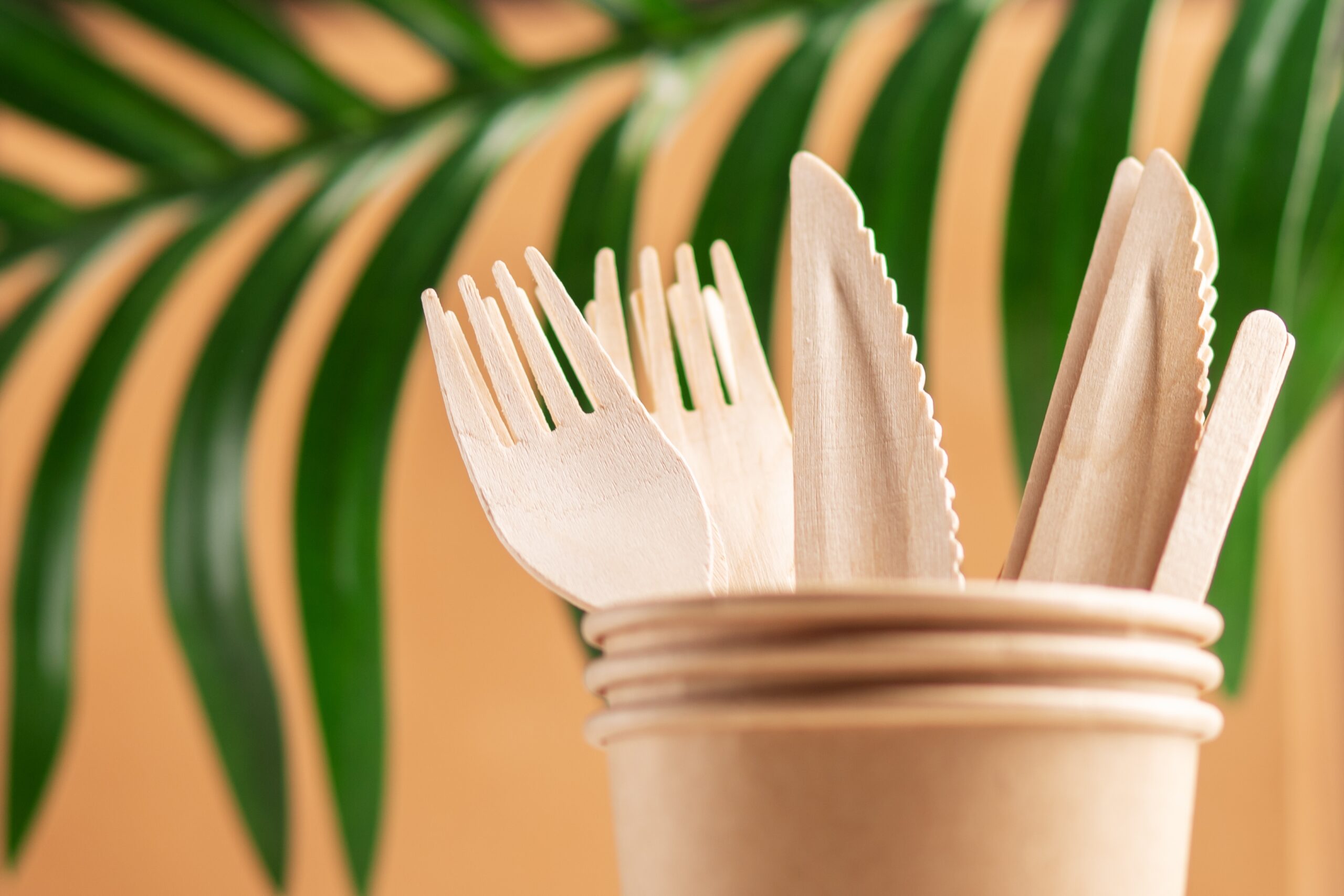 An example of sustainable bamboo cutlery
